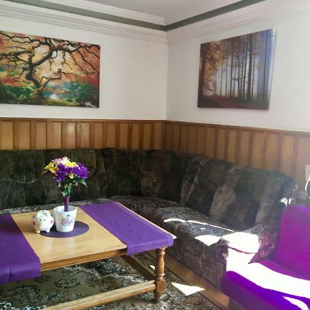 Rolling Stone Hostel براشوف المظهر الخارجي الصورة