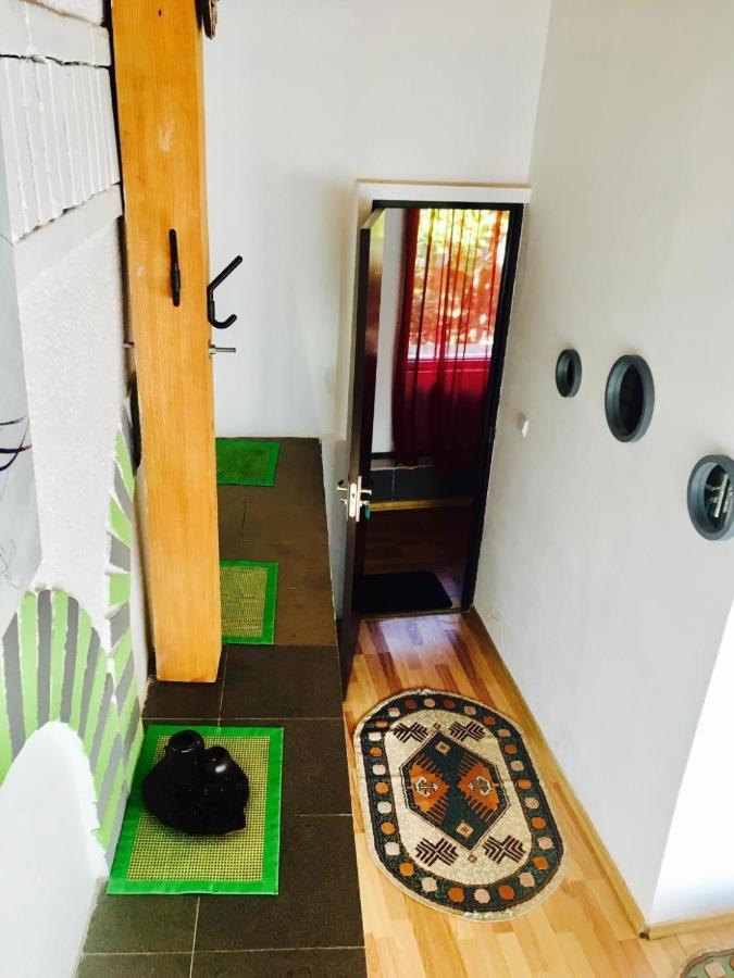 Rolling Stone Hostel براشوف المظهر الخارجي الصورة