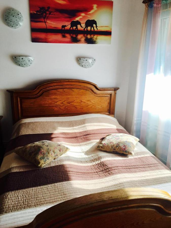 Rolling Stone Hostel براشوف المظهر الخارجي الصورة