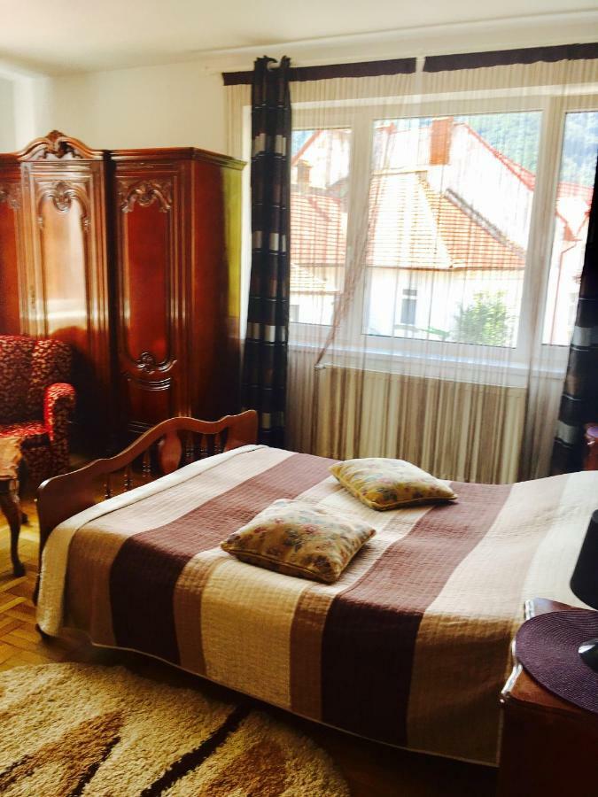 Rolling Stone Hostel براشوف المظهر الخارجي الصورة